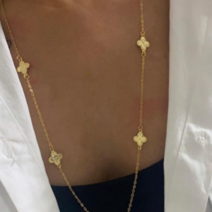 Colar Delicado Trevinho